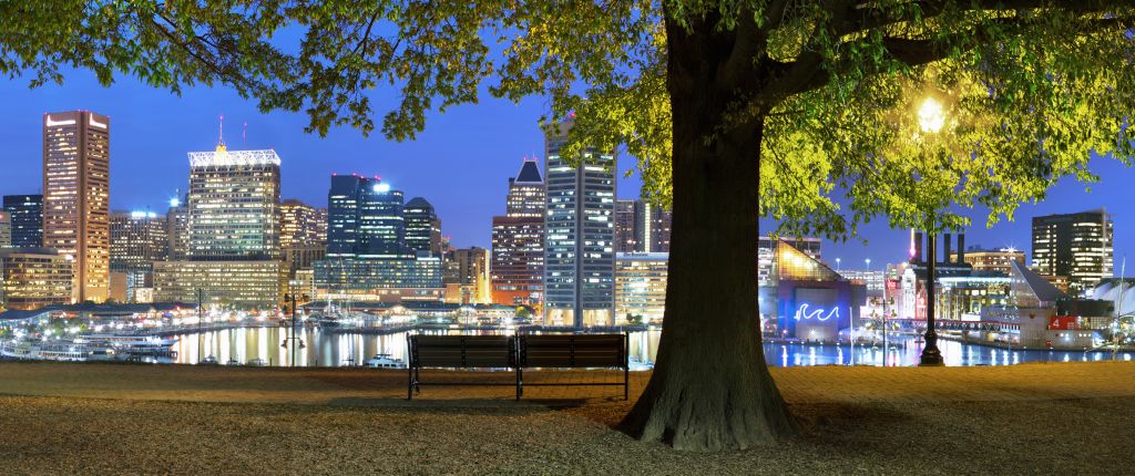 Baltimore skyline from Historic Federal Hill Park