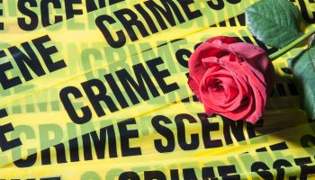 Crime scene tape and a red rose