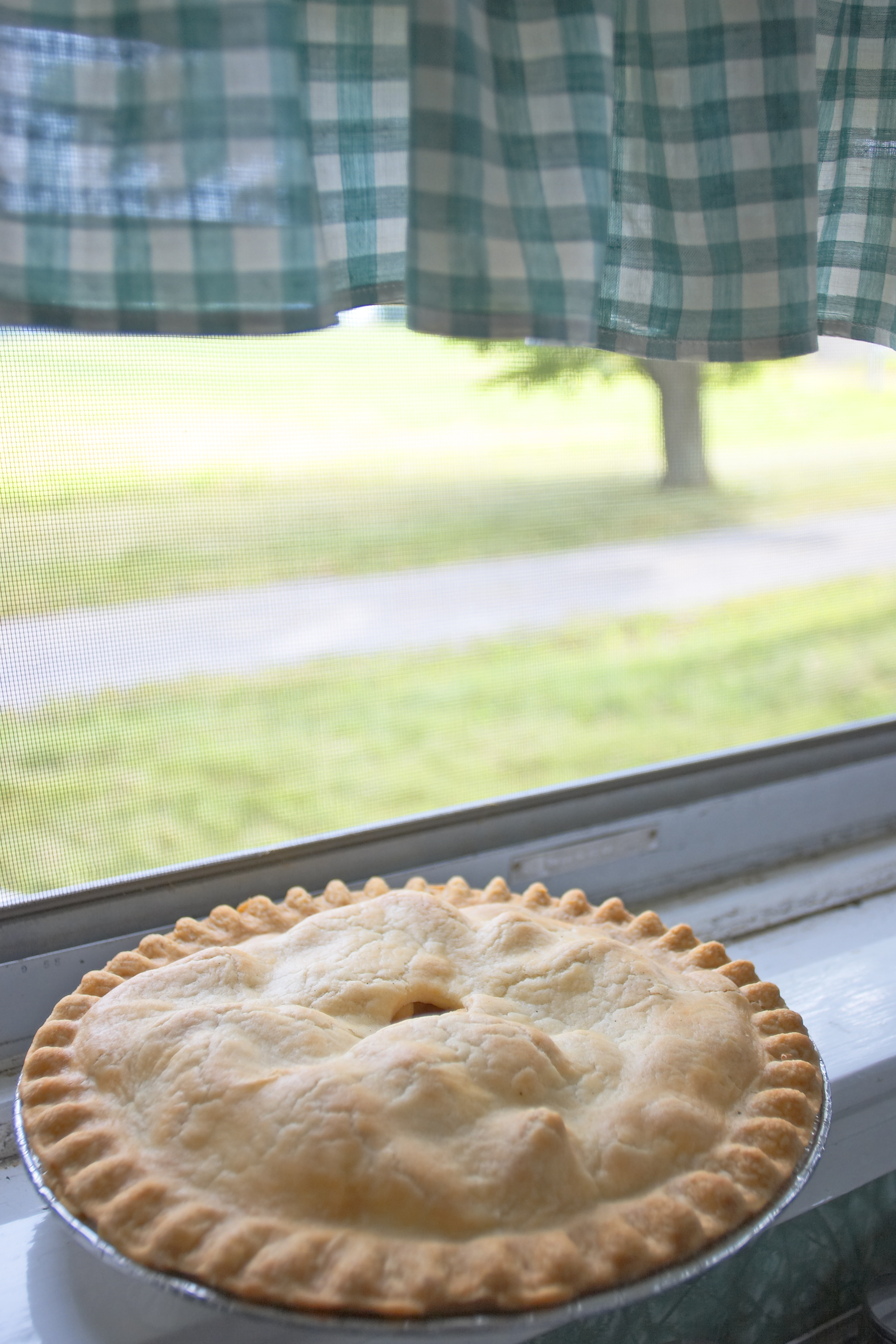 Apple Pie on Window Ledge