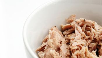 Flaked tuna fish in bowl