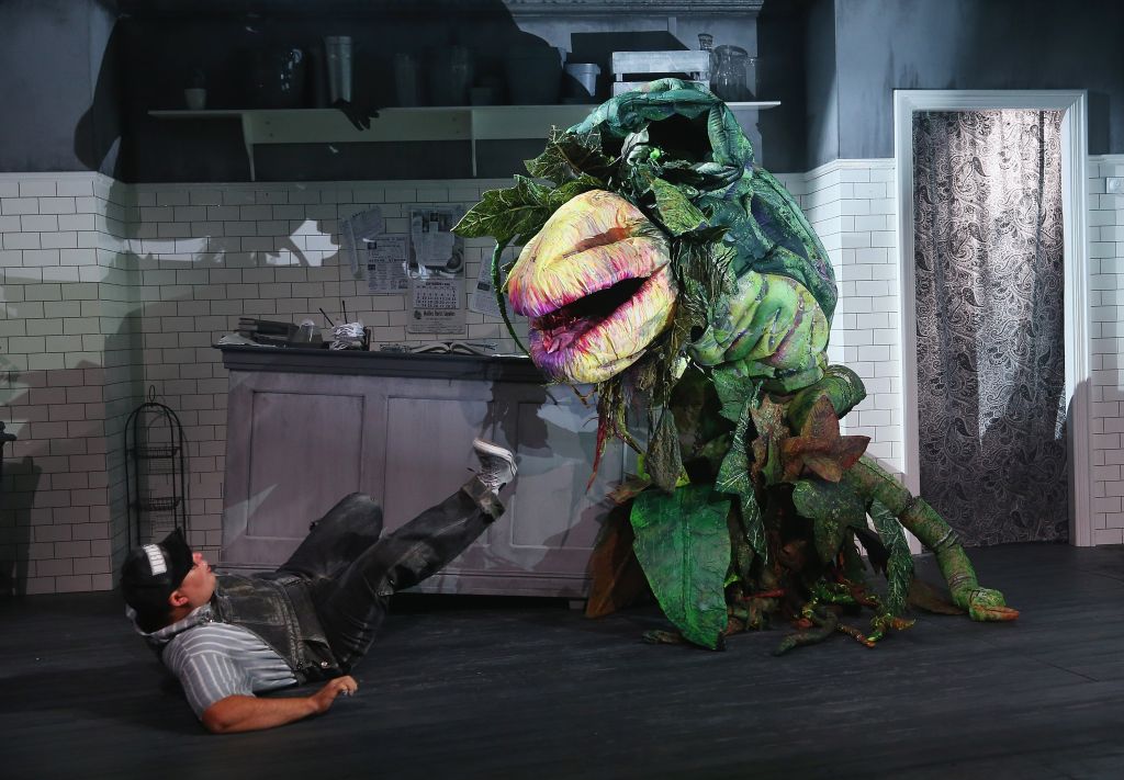 Little Shop Of Horrors Media Preview
