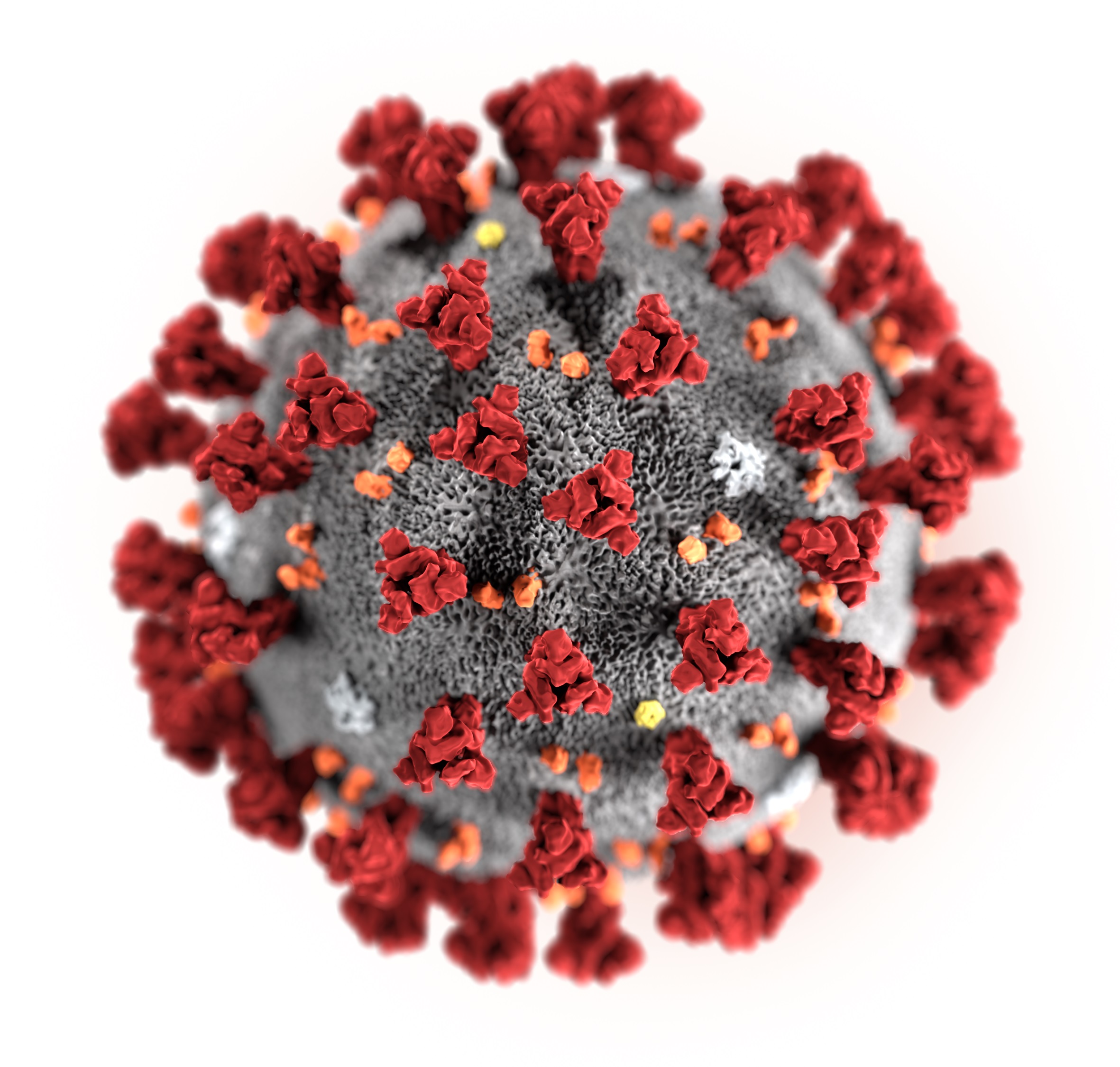 Illustration of 2019 Novel Coronavirus (2019-nCoV)